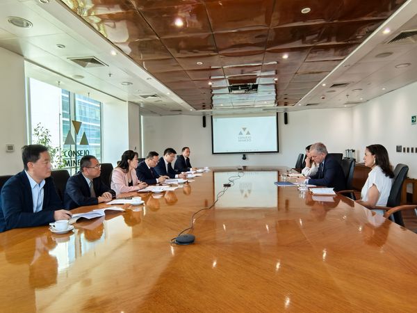 谈文胜率团赴智利调研 推动湖南地质南美矿业合作