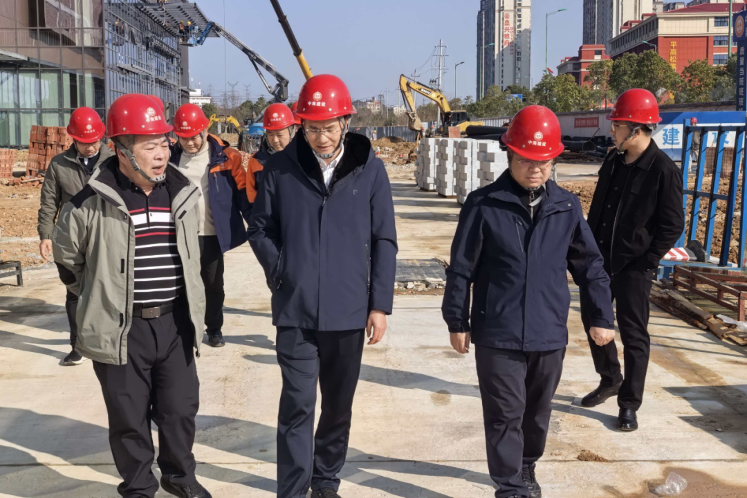 绷紧廉洁自律弦 打好项目收官战——湖南地质遥感所开展作风建设与清廉项目建设专项调研